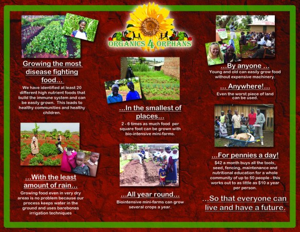 o4obrochureinside final