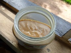 yogurt, greens, pineapple, tree tomato, passion fruit, mango & bananas, yum.  If you can get past the way it looks, it is delicious & nutritious!