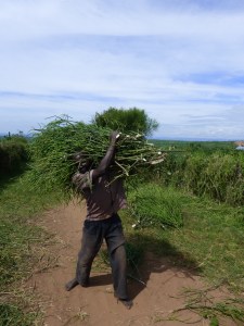 He saw me taking a picture of the lady with wood, and wanted me to take one of him too, once he had his bundle loaded!